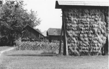 eika image